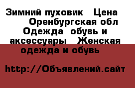 Зимний пуховик › Цена ­ 500 - Оренбургская обл. Одежда, обувь и аксессуары » Женская одежда и обувь   